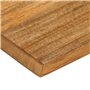 vidaXL Dessus de Table à Bord Vivant 60x20x2,5 cm Bois Massif manguier