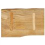 vidaXL Dessus de table rectangulaire en bois massif de manguier, 50x40x2,5 cm, brun clair, design rustique, pour intérieur, tabl