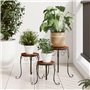 table de plantes