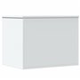 vidaXL Boîte de Rangement, Coffre à Jouets, Organisateur pour Vêtements Couvertures Coussins Maison Intérieur, Blanc Bois d'Ingé