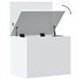 vidaXL Boîte de Rangement, Coffre à Jouets, Organisateur pour Vêtements Couvertures Coussins Maison Intérieur, Blanc Bois d'Ingé