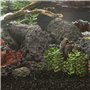 Décoration pour Aquarium