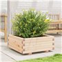 boîte à Plantes