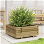 boîte à Plantes