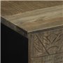 vidaXL Buffet 40x33x75 cm Bois Massif de manguier, Armoire de Rangement, Meuble de Rangement de Cuisine, Armoire de Rangement de