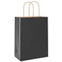vidaXL Sacs en Papier 250 pcs avec poignées Noir 21x11x28 cm