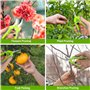 2 PCS Sécateur De Jardin Ciseaux D'Élagage Lame Robuste Avec Sécateur De Traitement Thermique Ciseaux À Économie De Travail Avec