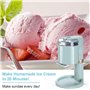 GAYAYAS Machine à crème glacée Commerciale for la Maison, Trémie Sorbetière Glace à l’Italienne Pré-Réfrigération 3 Saveurs Nett