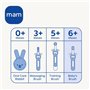 MAM Brosse à dents Baby's Brush C147 avec manche court et anneau de sécurité pour bébé à partir de 6 mois Rose