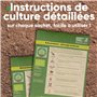 Kit Graine herbes aromatiques BIO | 12 différentes graines potager - Ton propre jardin herbes aromatiques pour la cuisine ou le 