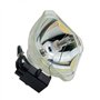 Lampe de projecteur de remplacement V13H010L67 H428A H428B H428C H429A H429B H429C H429C H430A H433B H433B 1261W VS210 EH-TW480 