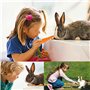 DOGGYZSTYLE 11 Jouets pour Petits Animaux,à Mâcher pour Lapins,Jouets à Mâcher Timothy Hay Naturel,Améliorer la Santé Dentaire,p