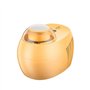 GRFIT Turbine a Glace 500 ML Mini Machine À Crème Glacée Maison Petite Maison Entièrement Automatique Crème Glacée Aux Fruits Ma