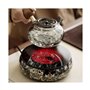 theiere Poêle électrique en céramique, Faisceau de Levage en Verre, théière bouillante, théière bouillante, théière de Brassage,