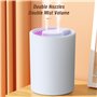 Humidificateur d'Air 5L humidificateur d'air à ultrasons diffuseur d'huile essentielle électrique Double pulvérisation diffuseur