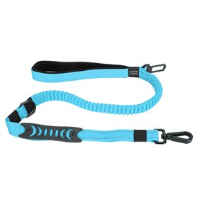 01 Ceinture pour Animaux de Compagnie