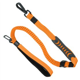 01 Ceinture pour Animaux de Compagnie