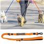 01 Ceinture pour Animaux de Compagnie, Laisse réfléchissante pour Chien Attache de sécurité Confortable Ceintures de Harnais pou
