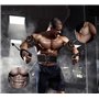 Zhailyn EMS Ceinture Abdominale Electrostimulation, Musculaire Stimulateur Appareil, Electrostimulateur Musculaire, de Musculati