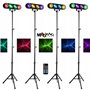 MOOVING LIGHT & SOUND - Enceinte USB Bluetooth Autonome sur Batterie 600W Electro-Sound - 2 Micros Karaoke - Pack Lumière sur Pi