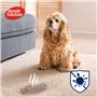Simple Solution - Détachant et désodorisant pour chiens - Nettoyant enzymatique avec pouvoir nettoyant pro-bactérien - 4 Litres
