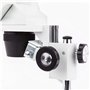 AmScope Se306r-p-e 20 x -40 X stéréo deux lumière microscope avec caméra USB