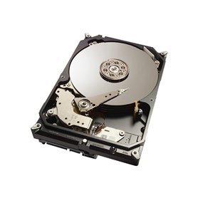 Seagate ST1000DX001 3.5 " 1000 Go serial_ata600