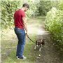Franklin Pet Supply Lanceur de Balle de Tennis - Jouet pour Chien - Jouer à Rapporter avec Votre Animal