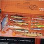 Berkley Pulse - Lot de 13 appâts de pêche réalistes en Plastique Souple et 6 têtes plombées - Cadeau pour Homme et pêcheur - Per