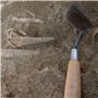 Truelle d'archéologie de Marshalltown, truelle rigide pointue de style londonien, avec manche en bois, truelle en acier, dimensi