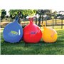 Gymnic - 80.66 - Ballon Sauteur - Hop 66 en Bleu