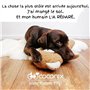 Coconix Kit de Réparation Sols et Meubles | Répare les rayures, éraflures et bosses sur les parquets, meubles et surfaces strati