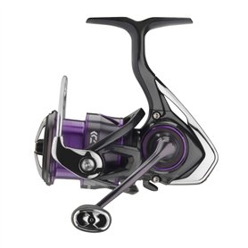 DAIWA 22 Prorex V LT 2500-XH Moulinet de pêche ambidextre Frein Avant 10609-250
