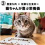 Acana Indoor Entrée | 340 g | Aliment sec pour chats adultes | Riche en protéines animales de poulet et de dinde | Avec des acid