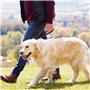Laisse Courte pour Chien, Corde de Traction en Cuir Rétractable pour Chien avec Ressort en Acier Inoxydable pour Petits, Moyens 