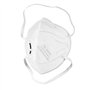 TubeRoo Lot de 10 masques FFP3 avec valve - Expédition depuis l'Allemagne - Bandeau/boucles d'oreilles - Masque respiratoire