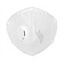 TubeRoo Lot de 10 masques FFP3 avec valve - Expédition depuis l'Allemagne - Bandeau/boucles d'oreilles - Masque respiratoire