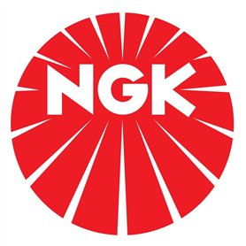 NGK - FAISCEAU HT - RC-VW206