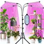 KEAWEO Lampe de Plante