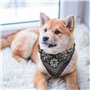 UEETEK Collier Cuir PU Réglable Echarpe Foulard Bandana pour Chiens Chats Animaux de Compagnie Noir Size M