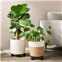 Lot de 4 Supports pour Pots de Plantes d'Intérieur et Extérieur