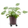 Support de Pot de Fleurs en Métal à Roulettes, Lot de 4 Supports pour Pots de Plantes d'Intérieur et Extérieur, 27 cm Chacun