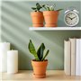 Juvale Petits Pots de Fleurs en Terra Cotta avec Soucoupes - 10,2 cm - 6 Pots pour Plantes