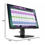 HP P22 G4 54,6 cm (21.5") 1920 x 1080 Pixels Full HD Noir