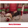 ABRRLO Pull-Over Chaud pour Chien et Chat Costume de Noël Costume de Halloween Veste de Tricot Chaud vêtements d’Hiver