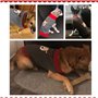 ABRRLO Pull-Over Chaud pour Chien et Chat Costume de Noël Costume de Halloween Veste de Tricot Chaud vêtements d’Hiver