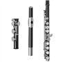Andoer Western Concert Flûte Argent-Nickel Plaqué 16 Trous C Key Instrument à Vent avec Cork Gants Graisse Chiffon de Nettoyage 