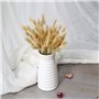 HUAESIN 100 Pcs Queue de Lapin Fleur Séchée Naturelles Plante Artificielle Bouquet Herbe Sèches D'Herbes de Lapin Florales Arran