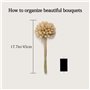 HUAESIN 100 Pcs Queue de Lapin Fleur Séchée Naturelles Plante Artificielle Bouquet Herbe Sèches D'Herbes de Lapin Florales Arran