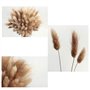 HUAESIN 100 Pcs Queue de Lapin Fleur Séchée Naturelles Plante Artificielle Bouquet Herbe Sèches D'Herbes de Lapin Florales Arran